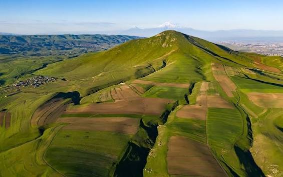 Գլխավոր